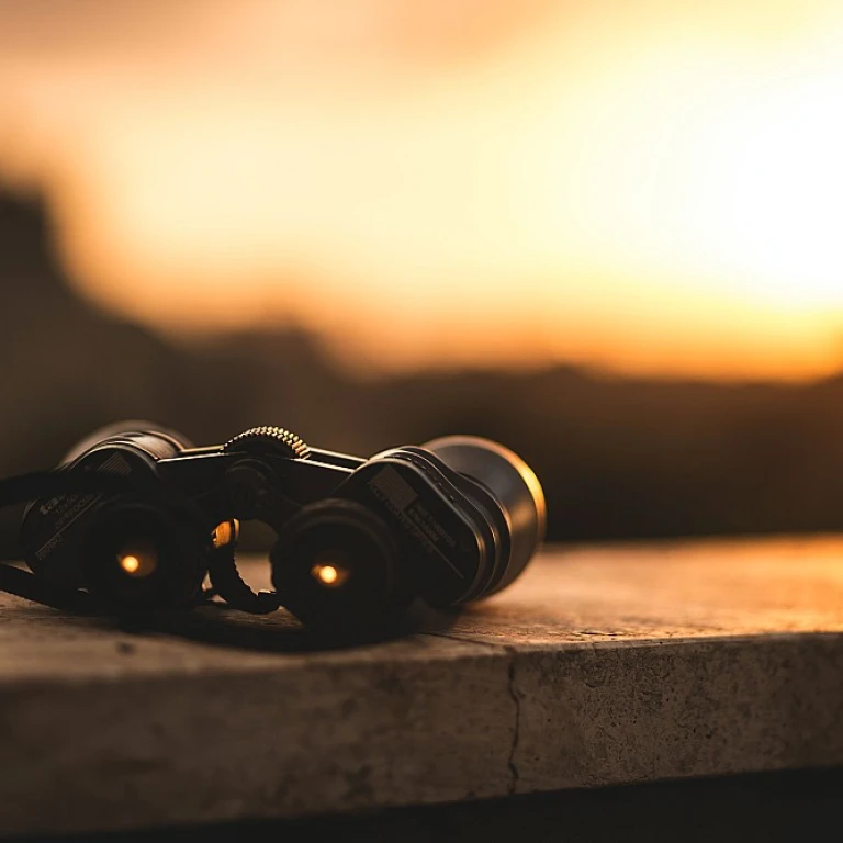 Choosing the Right Learning Management System for Your Small Business