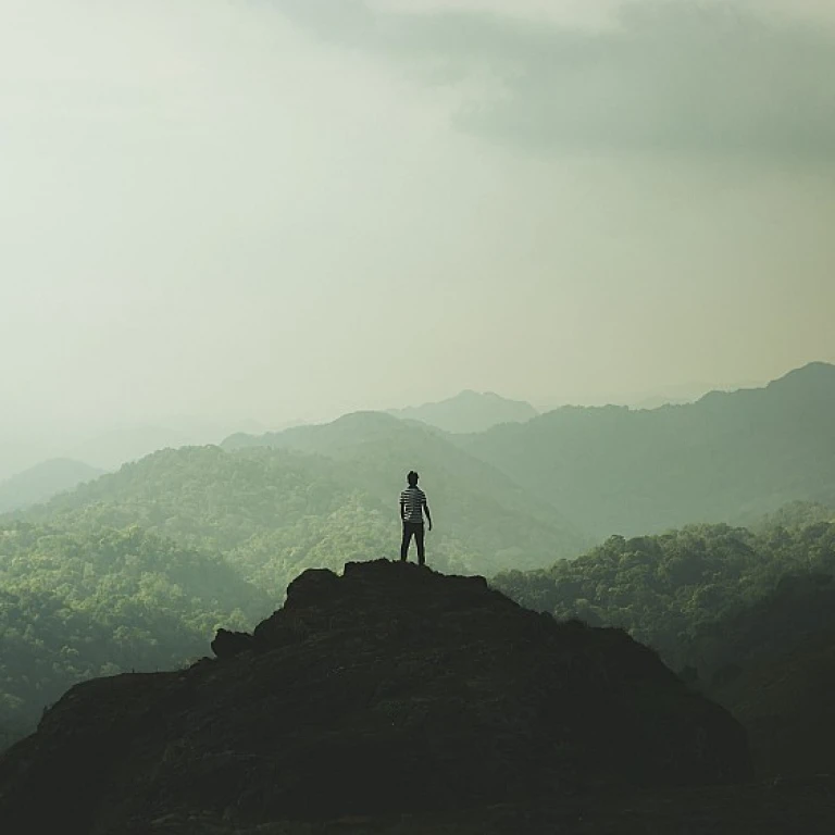 Understanding Visual Design in UI/UX